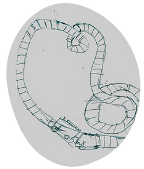 multicolumns-item-image-13